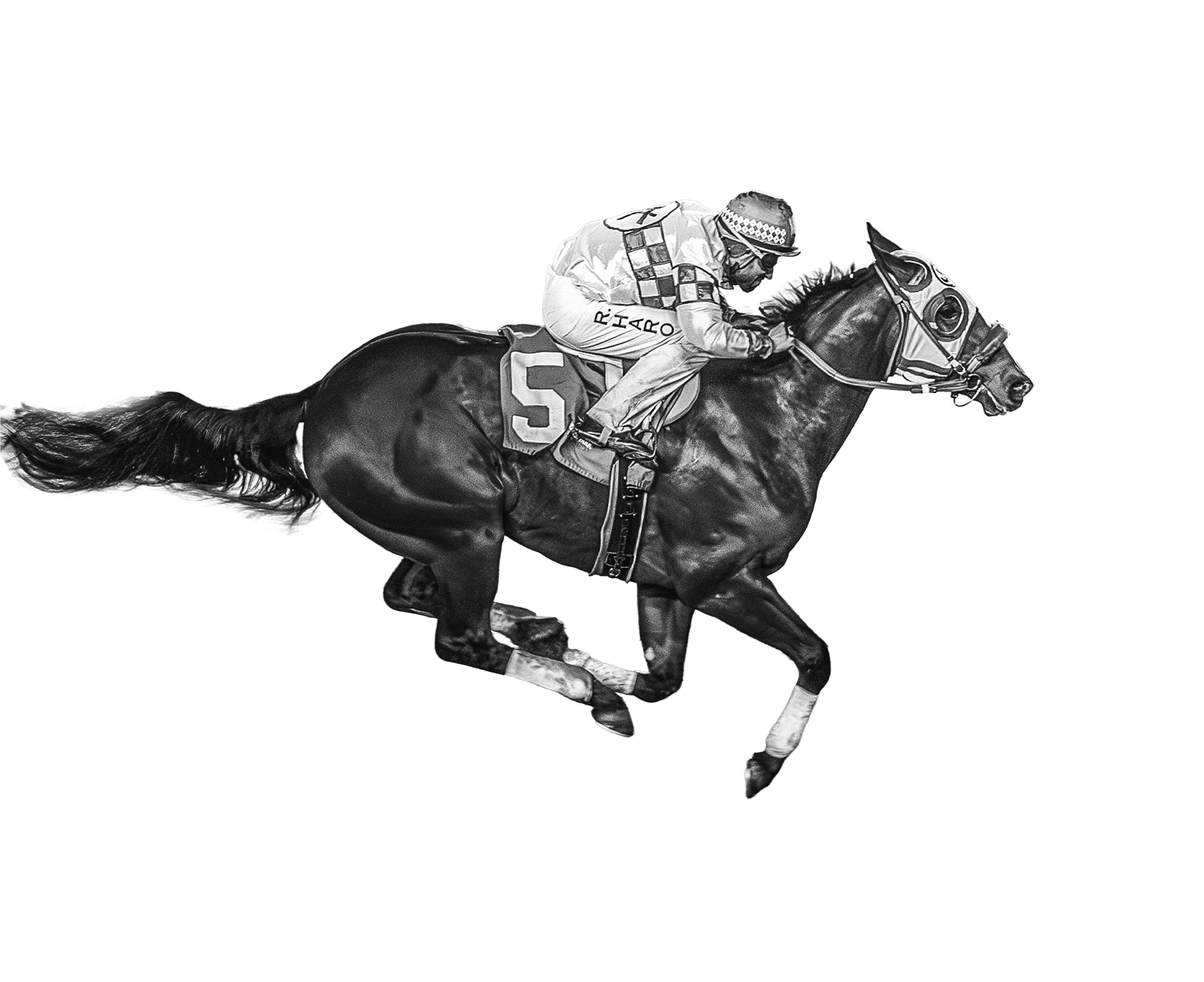 Racehorse and rider