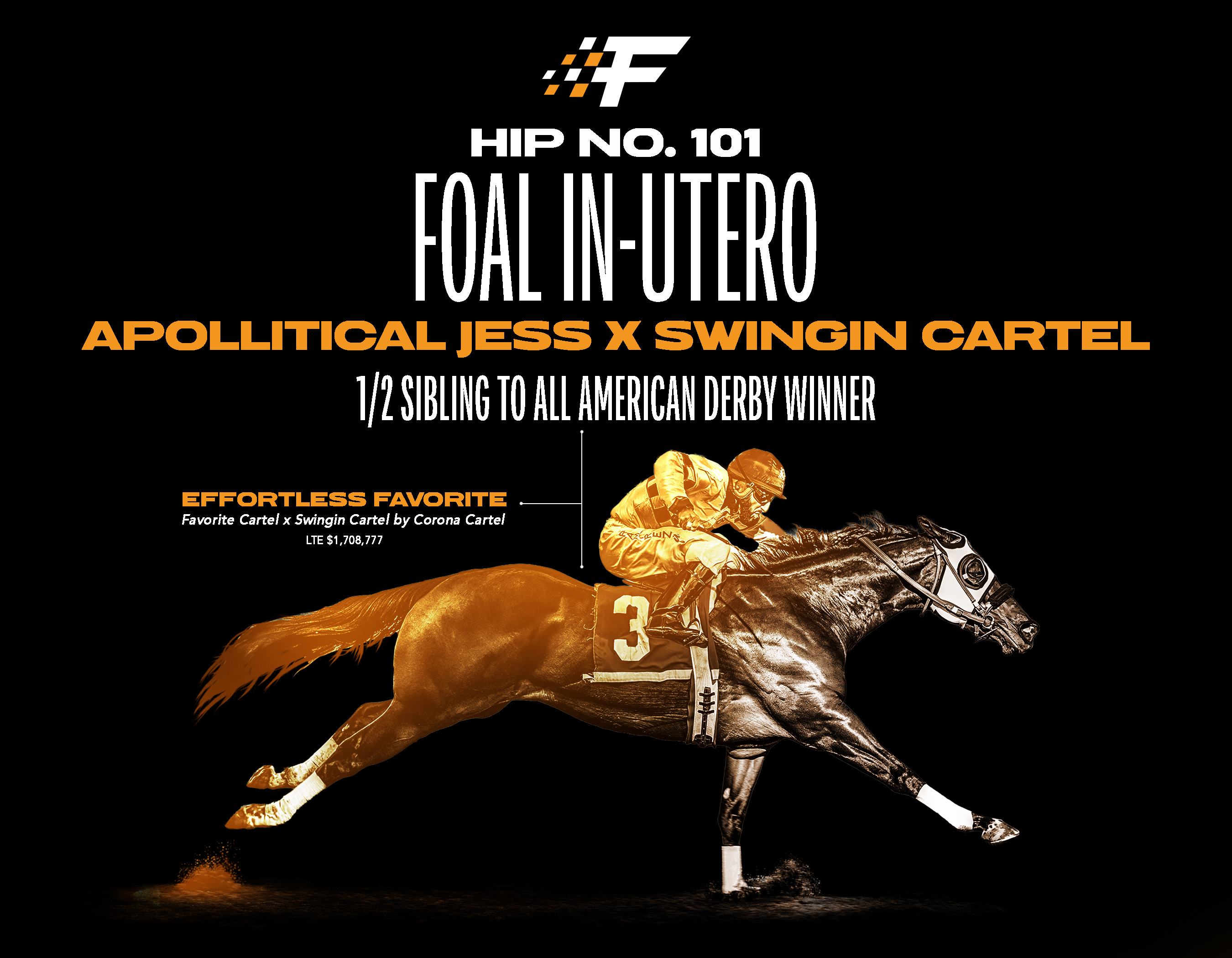 Hip 101 — foal in utero, Apollitical Jess x Swingin Cartel. Half sibling to All American Derby winner Effortless Favorite.